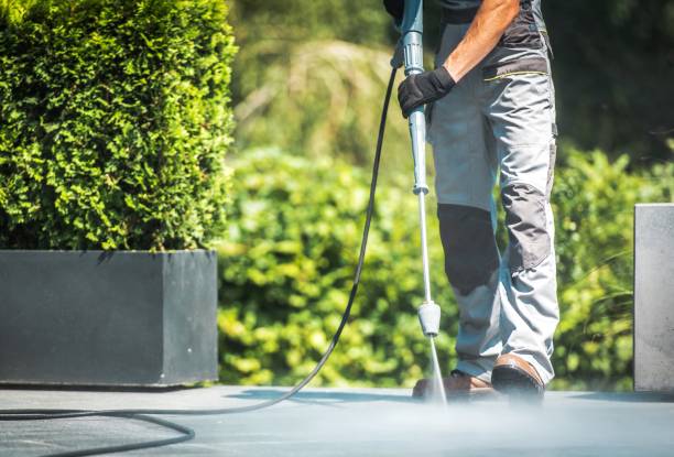Professional  Pressure Washing Services in Beaverton, MI