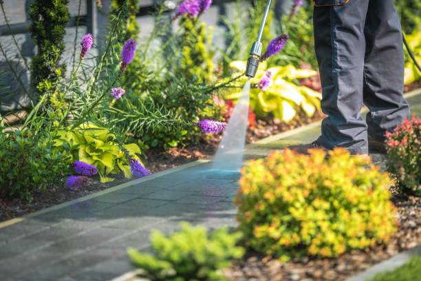 Best Winterizing Services  in Beaverton, MI