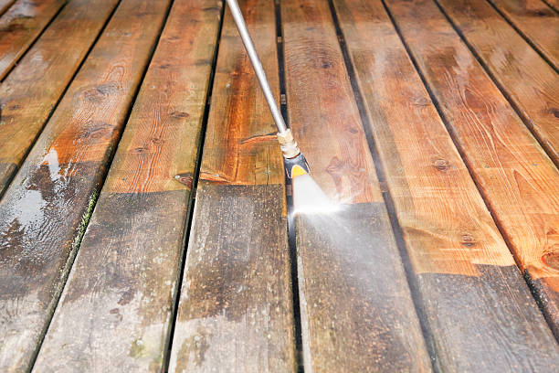 Best Sidewalk and Walkway Cleaning  in Beaverton, MI